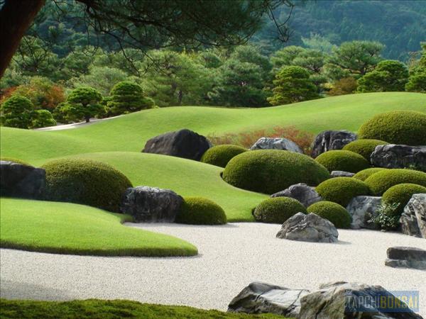 Bonsai, cay canh nghe thuat, cây cảnh nghệ thuật, cay the, cây thế, triển lãm bonsai, trien lam bonsai, triển lãm cây thế, trien lam cay the